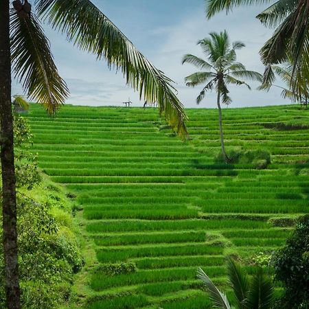 Be Bali Stay Ubud Extérieur photo