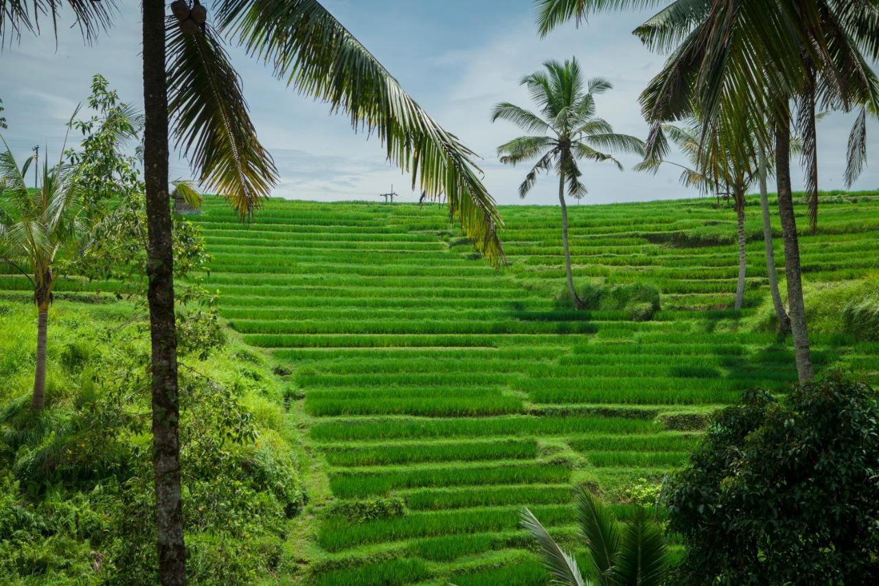 Be Bali Stay Ubud Extérieur photo