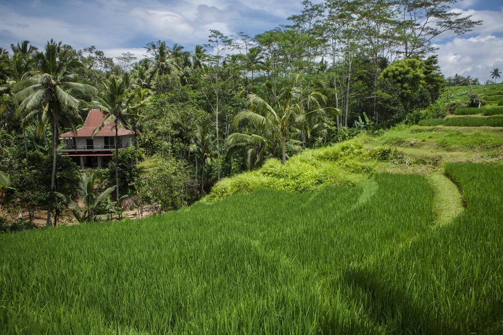 Be Bali Stay Ubud Extérieur photo